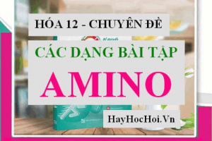 Các dạng bài tập Amino Axit có đáp án và lời giải - Hóa 12 chuyên đề